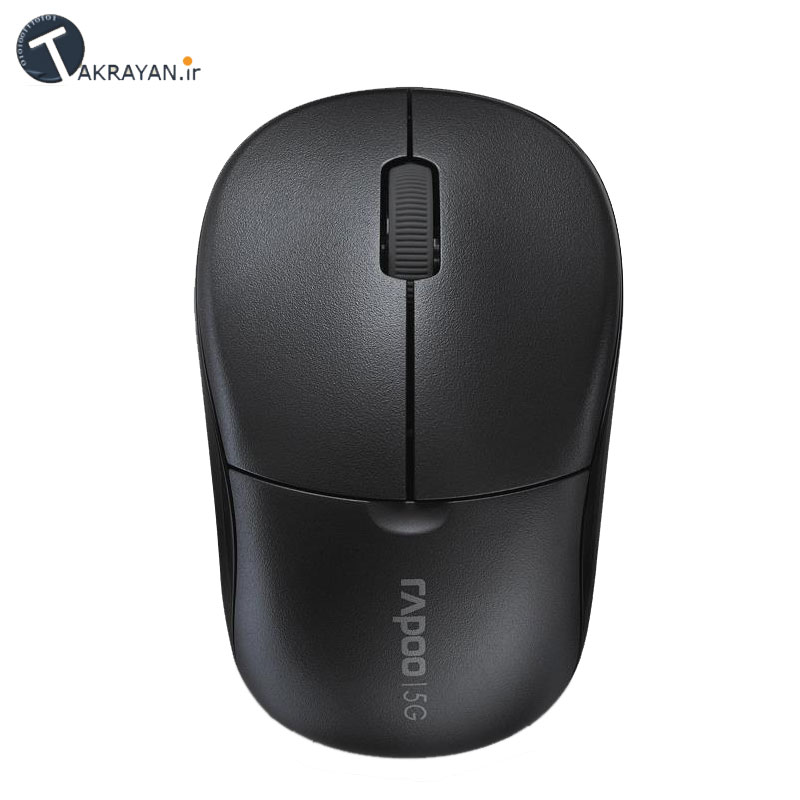 RAPOO 1090Pro Wireless Mouse